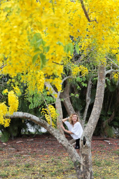 istock Young woman and yellow blooming Laburnum tree. 694521534