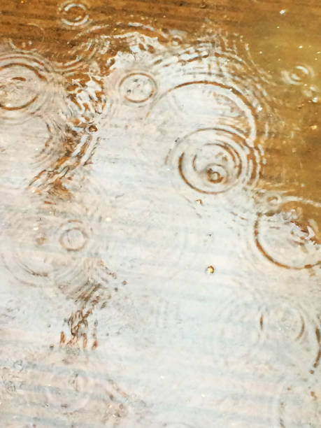 istock Rainy Season, Ring of rain 694521626