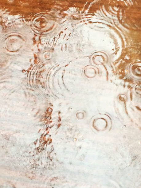 istock Rainy Season, Ring of rain 694521664