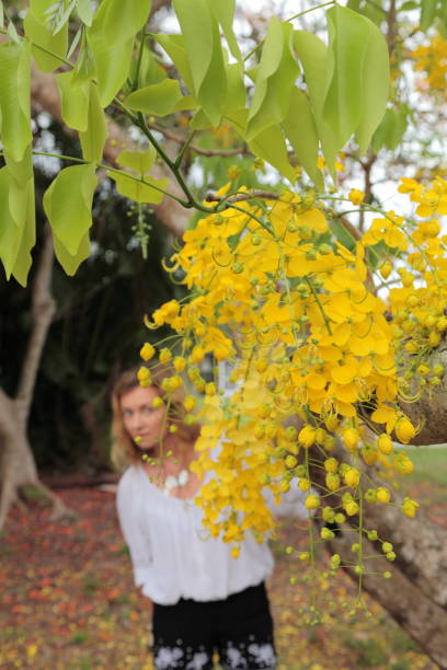 istock Young woman with yellow blooming Laburnum tree on the background. 694529478