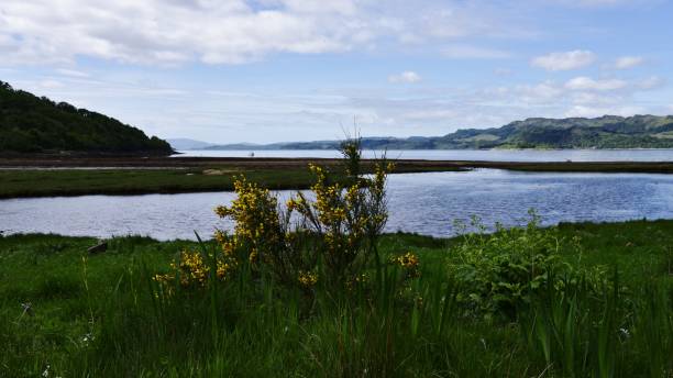 istock Lachlan Bay, Loch Fyne, Argyll, Scotland, UK 694529802