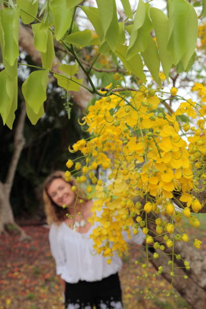 istock Young woman with yellow blooming Laburnum tree on the foreground. 694532894