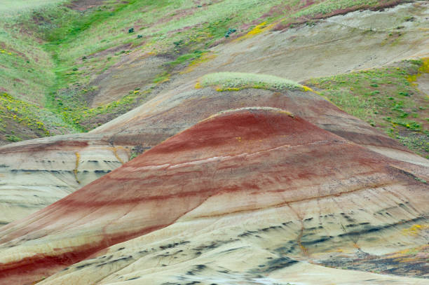 istock Painted Hills in John Day Fossil Beds 694532918