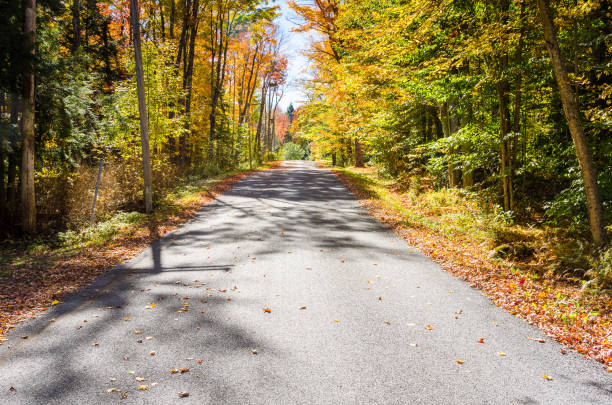 istock Single Lane Road through a Wood in Autumn 694532940