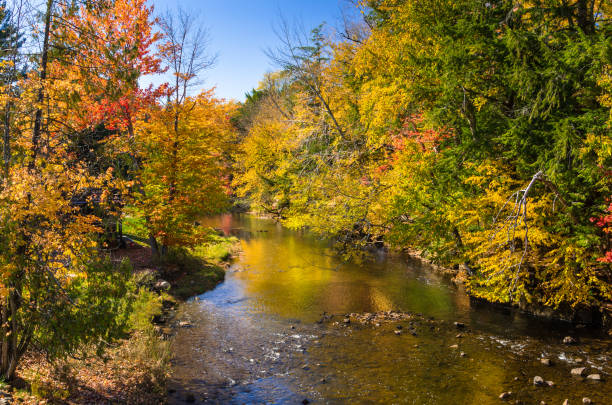 istock Forested Banks of Mountain a River at Fall Foliage Peak 694533136