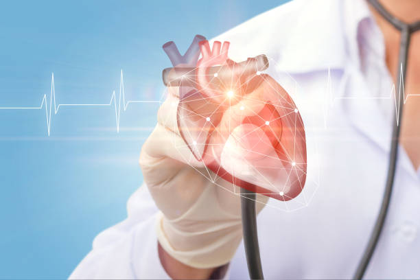 istock Cardiologist listens to the heart . 694538774