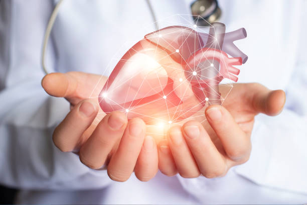 istock Cardiologist supports the heart . 694538780