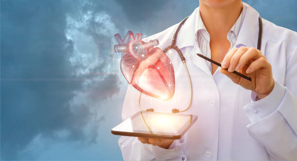 istock A cardiologist demonstrates the heart . 694538784