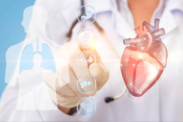 istock Doctor clicks on the heart icon . 694538788