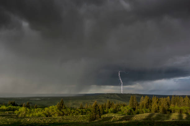 istock Approaching Storm in Alberta's Cypress Hills Park 694557028