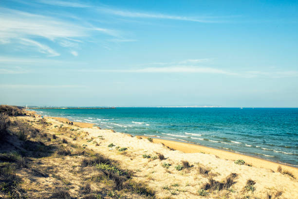 istock dunes in guardamar beach,alicante,Spain 694557148