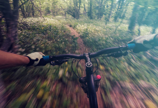 istock Speed blur on mountainbike through the forest 694559288