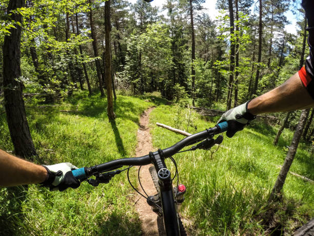 jazda na rowerze w lesie - personal perspective mountain biking mountain bike cycling zdjęcia i obrazy z banku zdjęć