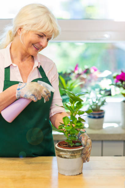 istock Woman working in florist shop 694559958