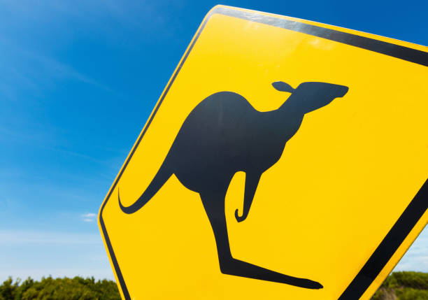 Kangaroo warning sign in the Australian Outback Close-up on a yellow sign, warning drivers to look out for kangaroos. kangaroo crossing sign stock pictures, royalty-free photos & images