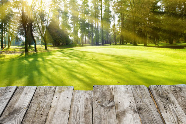 istock View from wooden surface to green park 694571962