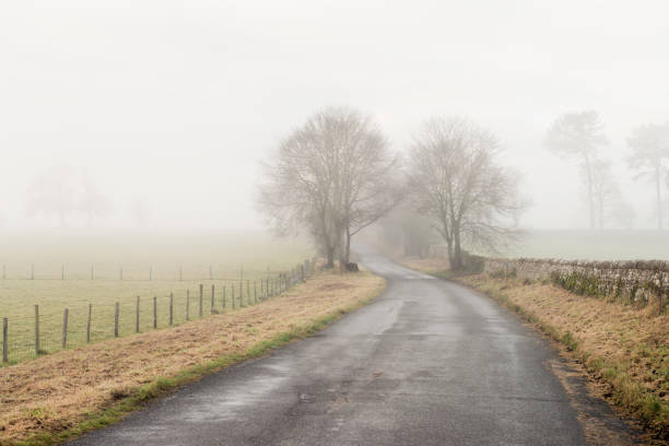 A winding side road through the countryside in North West England.