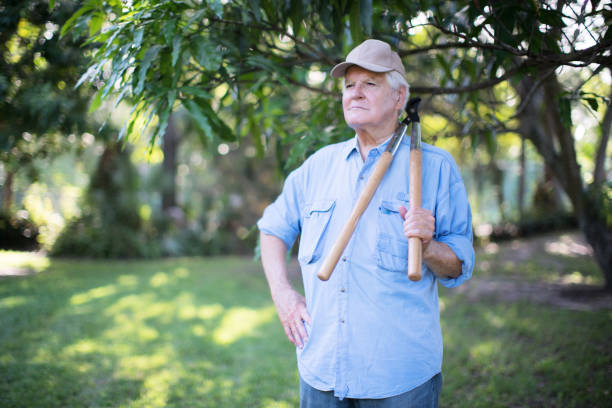 istock Active happy senior working in his garden 694578882