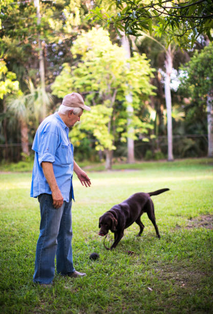 istock Senior man with his dog 694578916