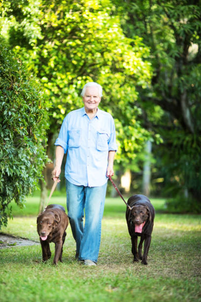 istock Senior man with his dogs 694579008