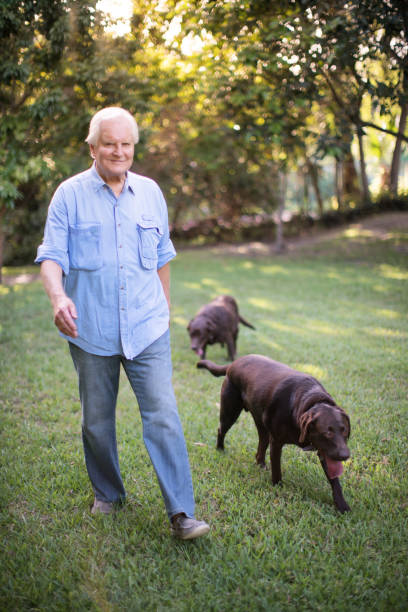 istock Senior man with his dogs 694585022