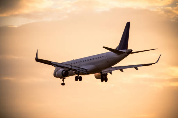 istock Airplane landing at sunset 694585442