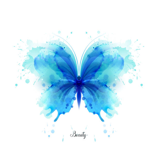 아름 다운 블루 수채화 추상 반투명 나비는 흰색 바탕에. - moth stock illustrations