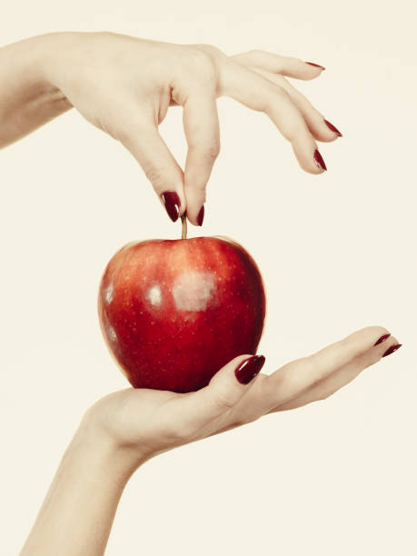 istock Woman hand holding delicious red apple 694598028