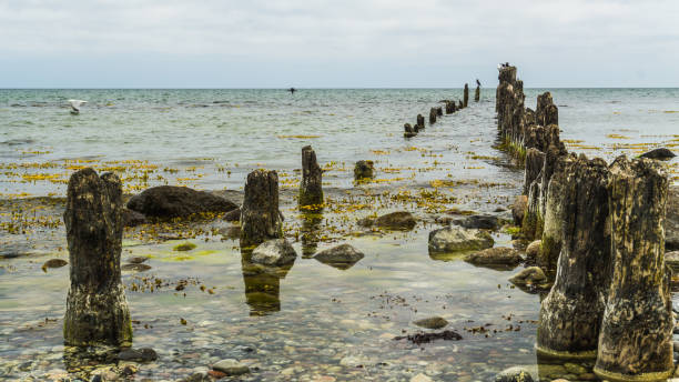 istock breaktwater baltic sea - landscape 694604354
