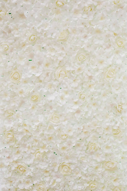 istock wedding decoration flowers wall 694616412