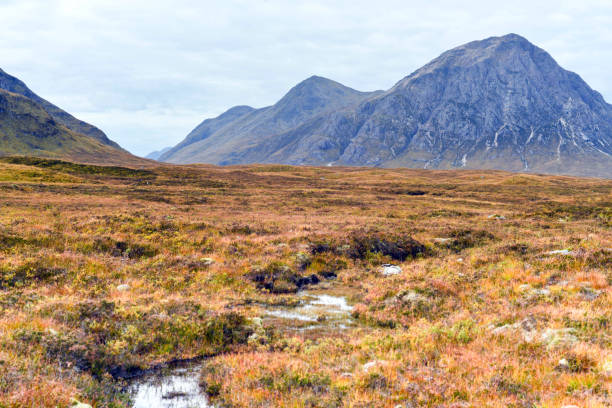 istock Ben Nevis in autumn season 694616620