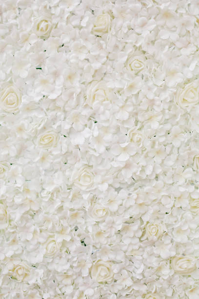 istock wedding decoration flowers wall 694616958