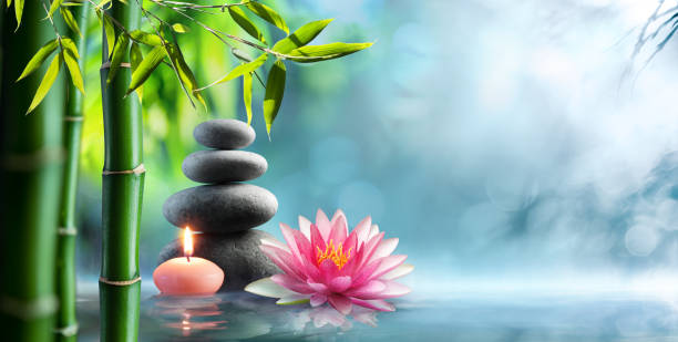 Spa - Natural Alternative Therapy With Massage Stones And Waterlily In Water Candle, black stones and waterlily in pond bamboo material photos stock pictures, royalty-free photos & images