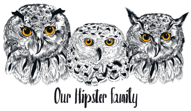 istock Hipster fashion illustration with owl in hand drawn style. Our family 694634708