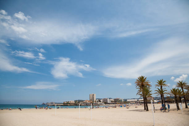 istock beautiful sandy spanish beach with palm trees on costa blanca on sunny day 694638532