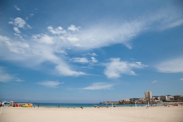istock beautiful sandy spanish beach with palm trees on costa blanca on sunny day 694640636