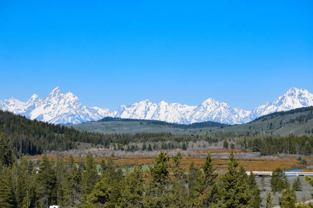 istock Yellowstone National Park 694644078