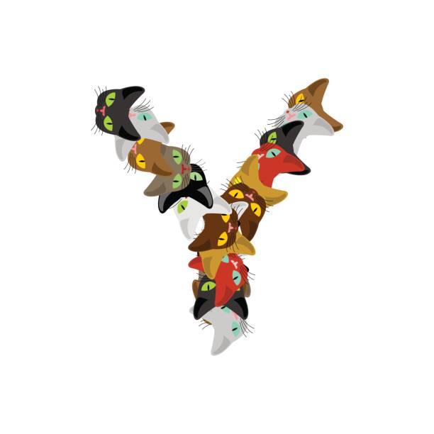 istock letter Y Cat font. Pet alphabet symbol. home animal ABC sign 694657474