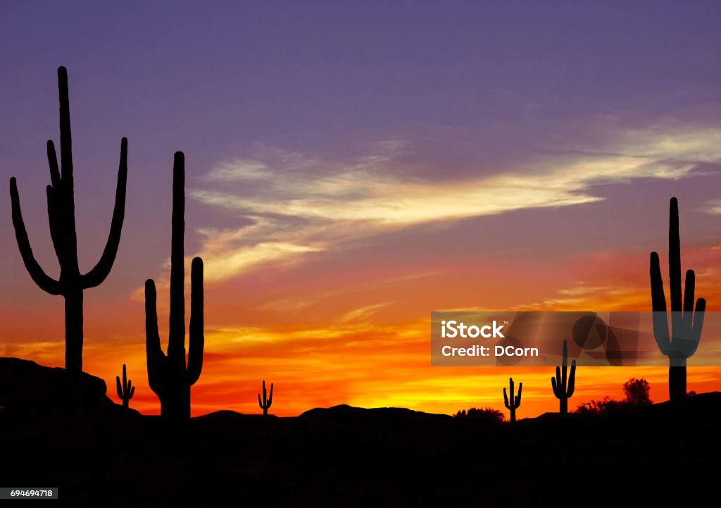 Sunset in the Desert Wild West Sunset with Cactus Silhouette Arizona Stock Photo