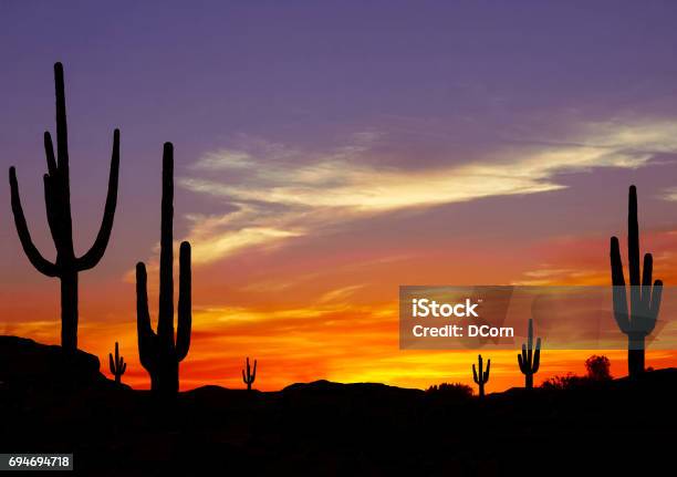 Sunset In The Desert Stock Photo - Download Image Now - Arizona, Desert Area, Tucson