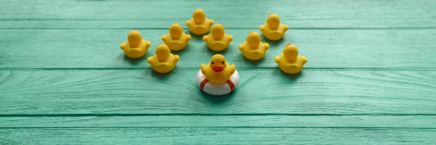 istock One yellow rubber duck on a safety inflatable life ring facing the camera as other yellow rubber ducks face and move in the opposite direction on a turquoise colored wooden table background. 694706510