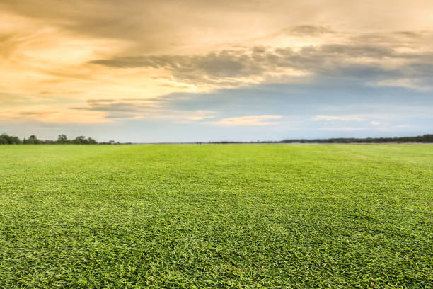 istock Green lawn and sky background 694707208