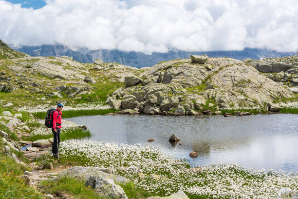 Female trekker walking along mountain lake. stock photo