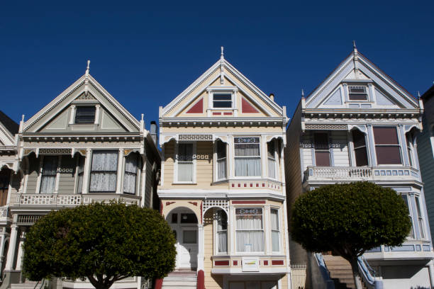 istock Painted Ladies San Francisco 694713128
