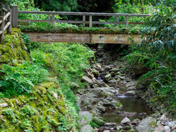 istock Iwami Ginzan, Omori, Japan 694719772
