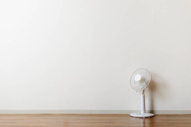 Spacious interior of a room with polished wooden floor and empty white bookshelves under ceiling fan