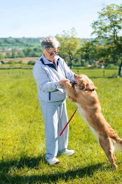 istock Senior woman and her dog 694729358