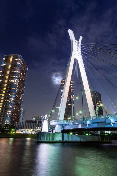 istock Bridge night view in Japan 694732286