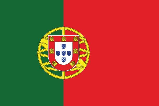 illustrations, cliparts, dessins animés et icônes de drapeau portugais, mise en plat, vector illustration - portuguese culture portugal flag coat of arms