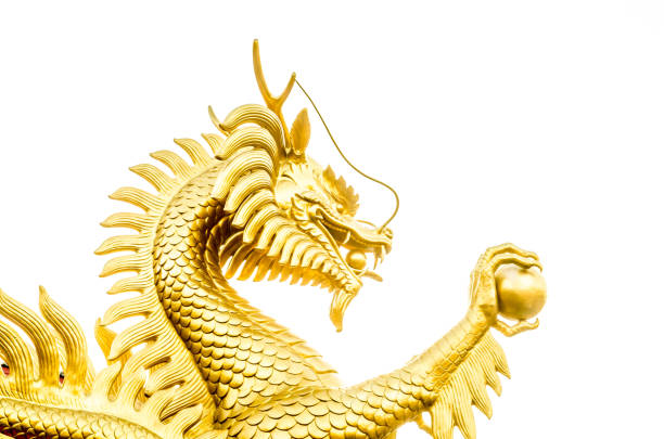 istock Gold dragon scrulpture on white background (dragon, chinese) 694747166
